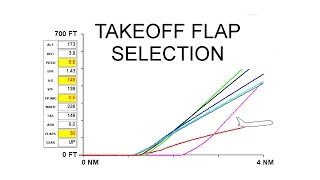 TAKEOFF FLAP SELECTION [upl. by Treble732]