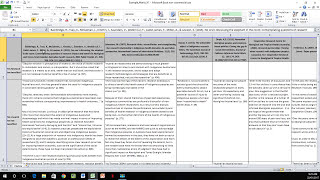 How to Create a Literature Matrix Excel [upl. by Losse389]