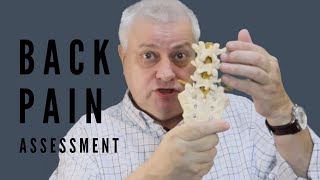 Low Back Pain  Lumbar Facet Joints  Assessment and Treatment [upl. by Acirrehs814]