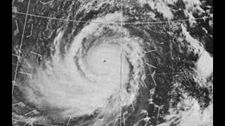 The Track of Typhoon Tip 1979 [upl. by Amalia]