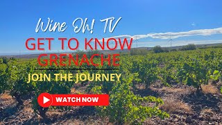 Get to Know Grenache [upl. by Idnil]