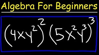 Algebra For Beginners  Basic Introduction [upl. by Avelin]