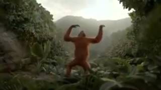 Gorilla dancing on yeh karke dekhayo [upl. by Ybok160]