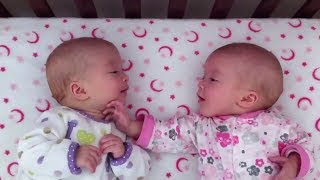 Identical twin girls engage in deep conversation [upl. by Luci]