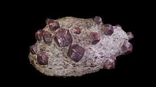 Geology 11 Metamorphic Rocks [upl. by Dodie937]