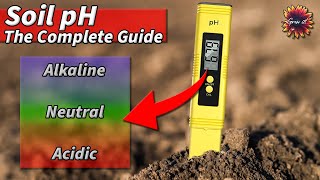 How To Check Soil pH Level  Help Your Plants To Thrive [upl. by Arahset]