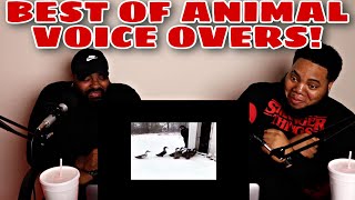 Tony Baker best of Animal voice overs 2020  TRY NOT TO LAUGH [upl. by Gemoets891]