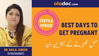 Best Days To Get Pregnant Urdu Hindi  Hamal Therne Ka Sahi Waqt  Fertility Days  Ovulation Period [upl. by Queena]