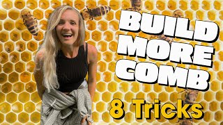 8 Tricks To Encourage Your Bees To Build More Comb EVEN IN JULY beekeeping [upl. by Gapin]