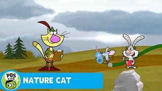 NATURE CAT  Were Making It Snow  PBS KIDS [upl. by Atnahs]