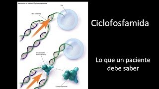 Ciclofosfamida información para pacientes [upl. by Williamsen]