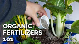 14 Organic Fertilizers and How to Use Them [upl. by Ardnwahs]