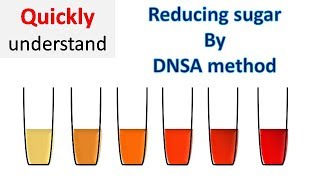 Reducing sugar by DNS method  3 5 Dinitrosalicylic acid DNSA method [upl. by Oletha]