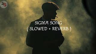 SIGMA RULE Song slowed  Reverb lofi [upl. by Yrram399]