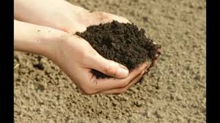 What is Loam Soil [upl. by Gnuj]