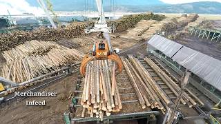 Logs to Lumber  An aerial journey through the sawmill [upl. by Eanrahc460]