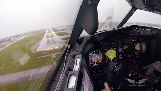 Stormy crosswind landing in LGW  Boeing 737 Captains view [upl. by Eihcir331]