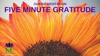 5 Minute Guided Meditation for Gratitude  Mindful Movement [upl. by Gladis]