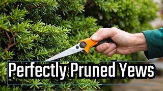 Pruning Yews [upl. by Poore]