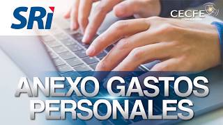 ANEXO DE GASTOS PERSONALES tutorial completo cecfe consultores [upl. by Matthews19]