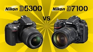 Nikon D5300 vs Nikon D7100 [upl. by Llacam]