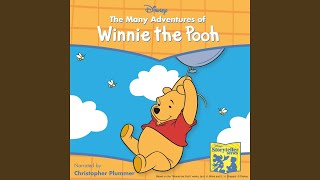 Mini Adventures of Winnie the Pooh  Owls House [upl. by Hardwick]