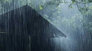 Sleep Instantly Within 3 Minutes with Heavy Rain amp Thunder on Ancient House in Foggy Forest at Night [upl. by Nosille110]