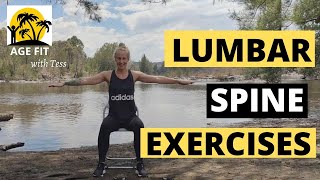 Lumbar Spondylosis Exercises [upl. by Urana]