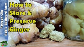 7 Ways to Store GINGER or Turmeric [upl. by Ajar]