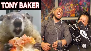 TONY BAKER ANIMAL VOICE OVERS ARE HILARIOUS [upl. by Hankins]