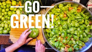 Making Salsa Verde  Preserving Green Tomato Harvest [upl. by Eceinahs]