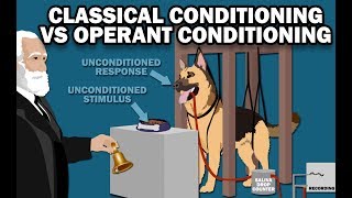 CLASSICAL VS OPERANT CONDITIONING [upl. by Frodina120]