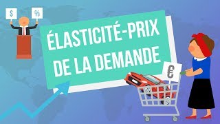 Lélasticitéprix de la demande [upl. by Parks]