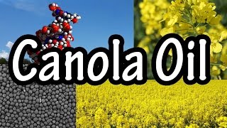 Canola Oil  What is Canola Oil  Canola Oil Nutrition [upl. by Alioz933]