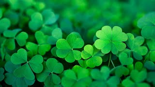 Happy Irish Music – Saint Patricks Day  Celtic Cheerful ☘️ [upl. by Gherardo]