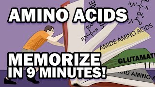 Memorize the 20 Amino Acids in 9 Minutes [upl. by Topper314]