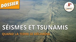 SÉISMES ET TSUNAMIS  Dossier 25  LEsprit Sorcier [upl. by Atoiganap996]