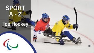 Para Ice Hockey Sports of the Paralympic Winter Games [upl. by Adyan]