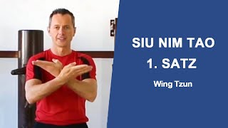 1 Satz der Siu Nim Tao kleine IdeeForm des WingTsun WingChun VingTsun System [upl. by Mulligan]