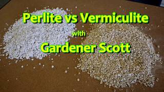 Perlite vs Vermiculite [upl. by Lime332]