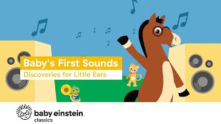 Babys First Sounds Discoveries for Little Ears  Baby Einstein [upl. by Nosniv101]