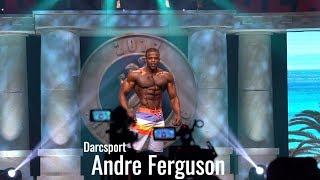 Bodybuilder Andre Ferguson Posing  2017 Mr Olympia Mens Physique [upl. by Acirrej400]