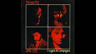 I Cugini Di Campagna Tu Sei Tu 1977 [upl. by Neilla]