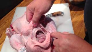 Éviscération dun poulet fermier  how to eviscerate a chicken french [upl. by Mccomb]