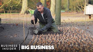 How 7 Million Flowers Are Planted At Keukenhof Every Year  Big Business [upl. by Yelwah]