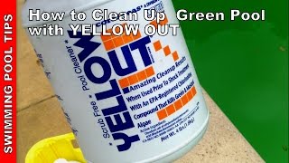 How to Clean a Green Pool Updated Version  Using YELLOW OUT [upl. by Orren990]