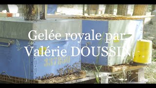 Production de la gelée royale [upl. by Gordon]