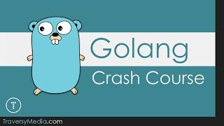 Go  Golang Crash Course [upl. by Tidwell]