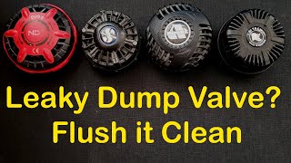 Cleaning Drysuit Dump Valves [upl. by Schnabel50]