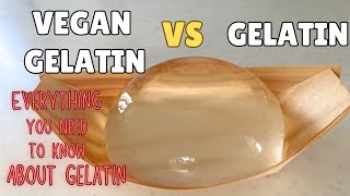 Everything you need to know about Gelatin and Vegan GelatinGelatin Agaragar Carrageenan EP214 [upl. by Fax262]